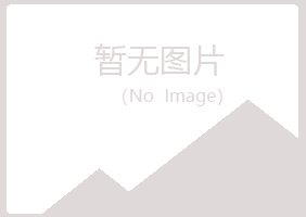 岢岚县指望会计有限公司